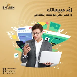 شركة استضافة مواقع مصرية | تفوق في عالم الويب مع شركة انساين